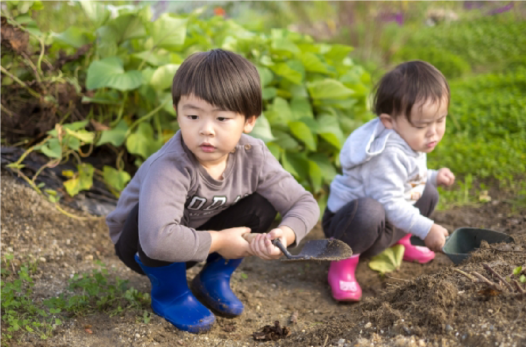 芋掘りの様子